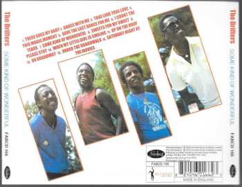 CD The Drifters: Some Kind Of Wonderful