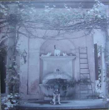 Album The Dues: Cat / Dog