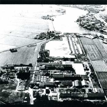 CD/Coffret The Ex: Dignity Of Labour