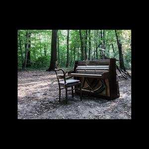 2LP The Eye Of Time: Acoustic II LTD | CLR