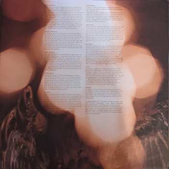 LP The Fresh & Onlys: House Of Spirits LTD | NUM