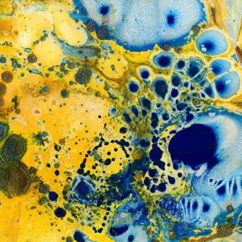 The Gentle Good: Ruins / Adfeilion