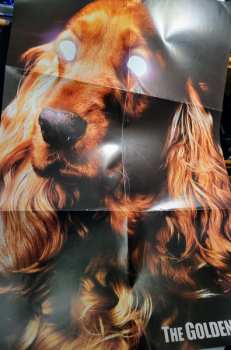 LP The Golden Dogs: Coat Of Arms