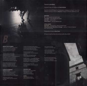 2LP Joe Henry: The Gospel According To Water 