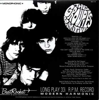 CD The Groupies: Primitive