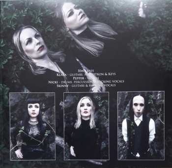 LP The Heard: The Island CLR | LTD