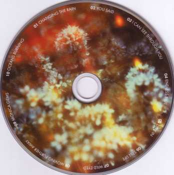 CD The Horrors: Skying