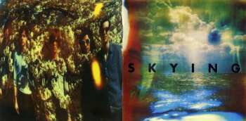 CD The Horrors: Skying