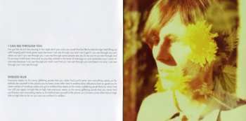 CD The Horrors: Skying