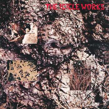 5CD/Coffret The Icicle Works: 5 Albums