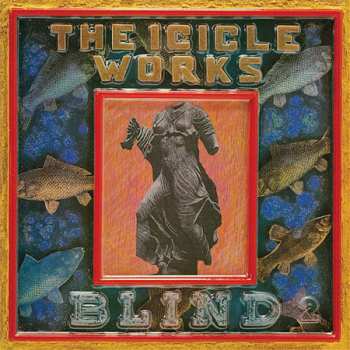 5CD/Coffret The Icicle Works: 5 Albums