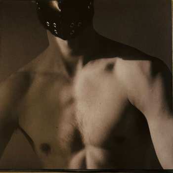 LP The Irrepressibles: Superheroes