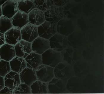 CD The Joy Thieves: This Will Kill That