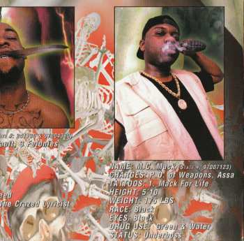 CD The Kaze: Kamakazie Timez Up