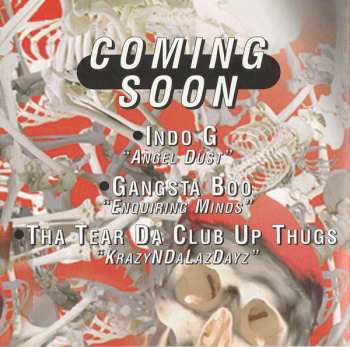 CD The Kaze: Kamakazie Timez Up