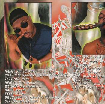 CD The Kaze: Kamakazie Timez Up