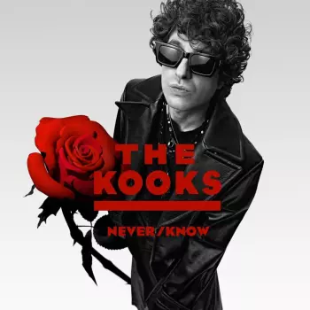 The Kooks: Never/know