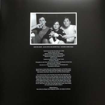 2LP The Lemonheads: It's A Shame About Ray