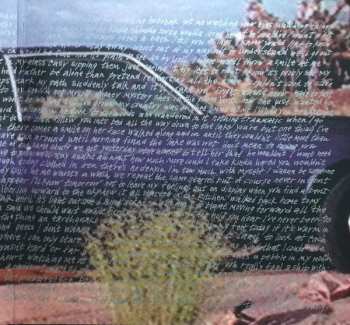 2LP The Lemonheads: It's A Shame About Ray