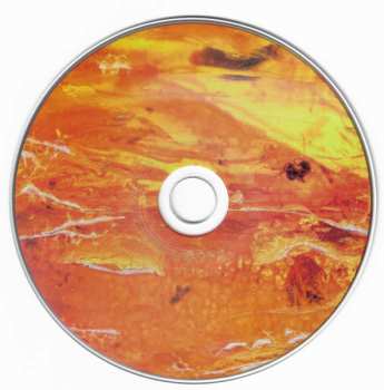 CD The Little Unsaid: Lick The Future's Lips LTD