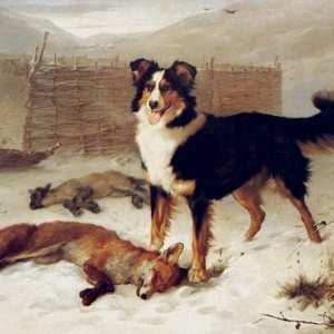 Album The Lonesome Southern Comfort Company: The Big Hunt