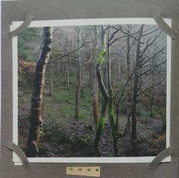 CD The Memory Band: Apron Strings