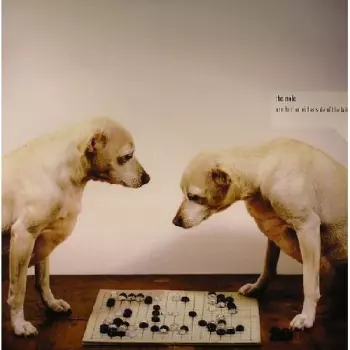 The Mole: One Foot On Either Side Of The Ladder