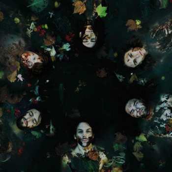 Album The Mothers Earth Experiment: The Mothers Earth Experiment