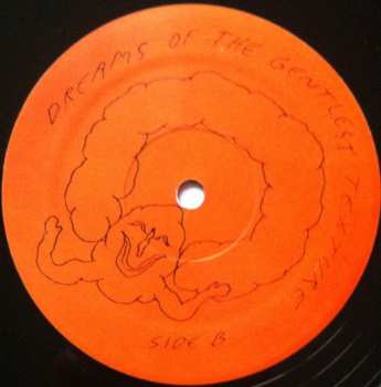 LP The Muff Divers: Dreams Of The Gentlest Texture