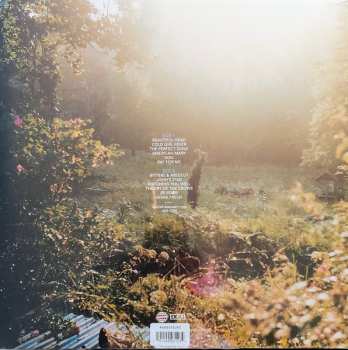 LP The National: The National CLR | LTD