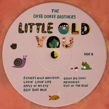 LP The Okee Dokee Brothers: Little Old You