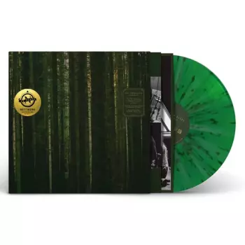 The Paper Kites: Evergreen