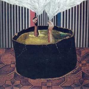Album The Phantom Band: The Wants