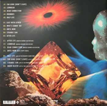 2LP The Pictish Trail: Future Echoes LTD