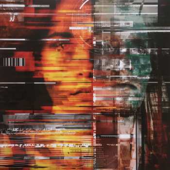 LP The Pineapple Thief: Dissolution