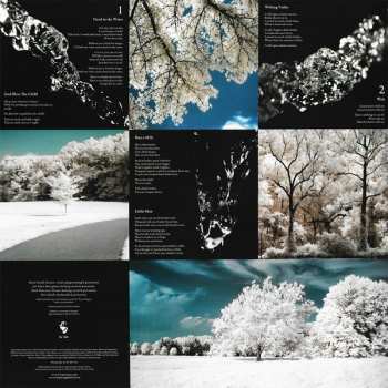 2LP The Pineapple Thief: Little Man LTD