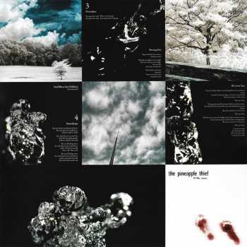 2LP The Pineapple Thief: Little Man LTD