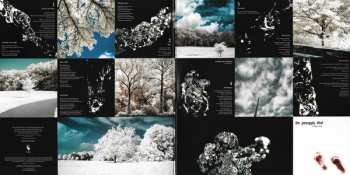 2LP The Pineapple Thief: Little Man LTD