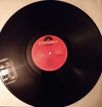 LP The Pink Fairies: Never-Neverland