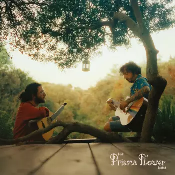 The Prisma Flower Band: The Prisma Flower Band