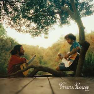 LP The Prisma Flower Band: The Prisma Flower Band LTD | CLR