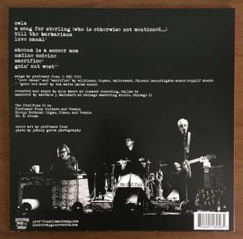 LP The Prof. Fuzz 63: Owls