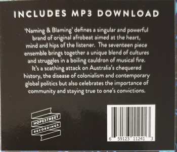LP The Public Opinion Afro Orchestra: Naming & Blaming