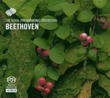 Album Royal Philharmonic Orchestra: Beethoven