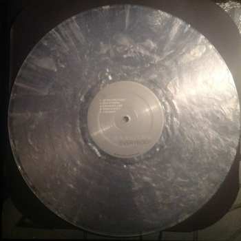 LP The Sea And Cake: Everybody