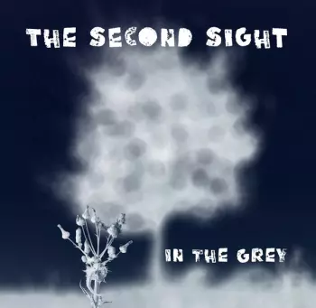 The Second Sight: In The Grey