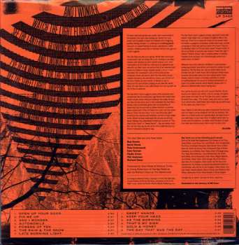 LP The See See: Days, Nights & Late Morning Lights
