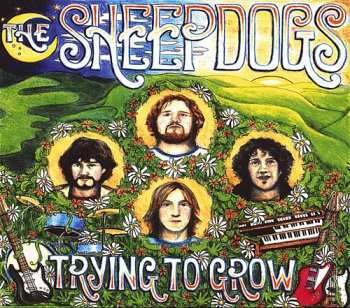 Album The Sheepdogs: Trying To Grow