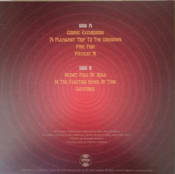 LP The Silver Linings: Pink Fish CLR | NUM