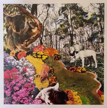 LP The Smith Street Band:  Don't Waste Your Anger 